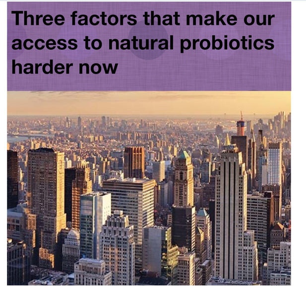 Three Factors that make our access to natural probiotics harder now